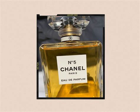 chanel n5 perfume logo|what does Chanel no 5 smell like.